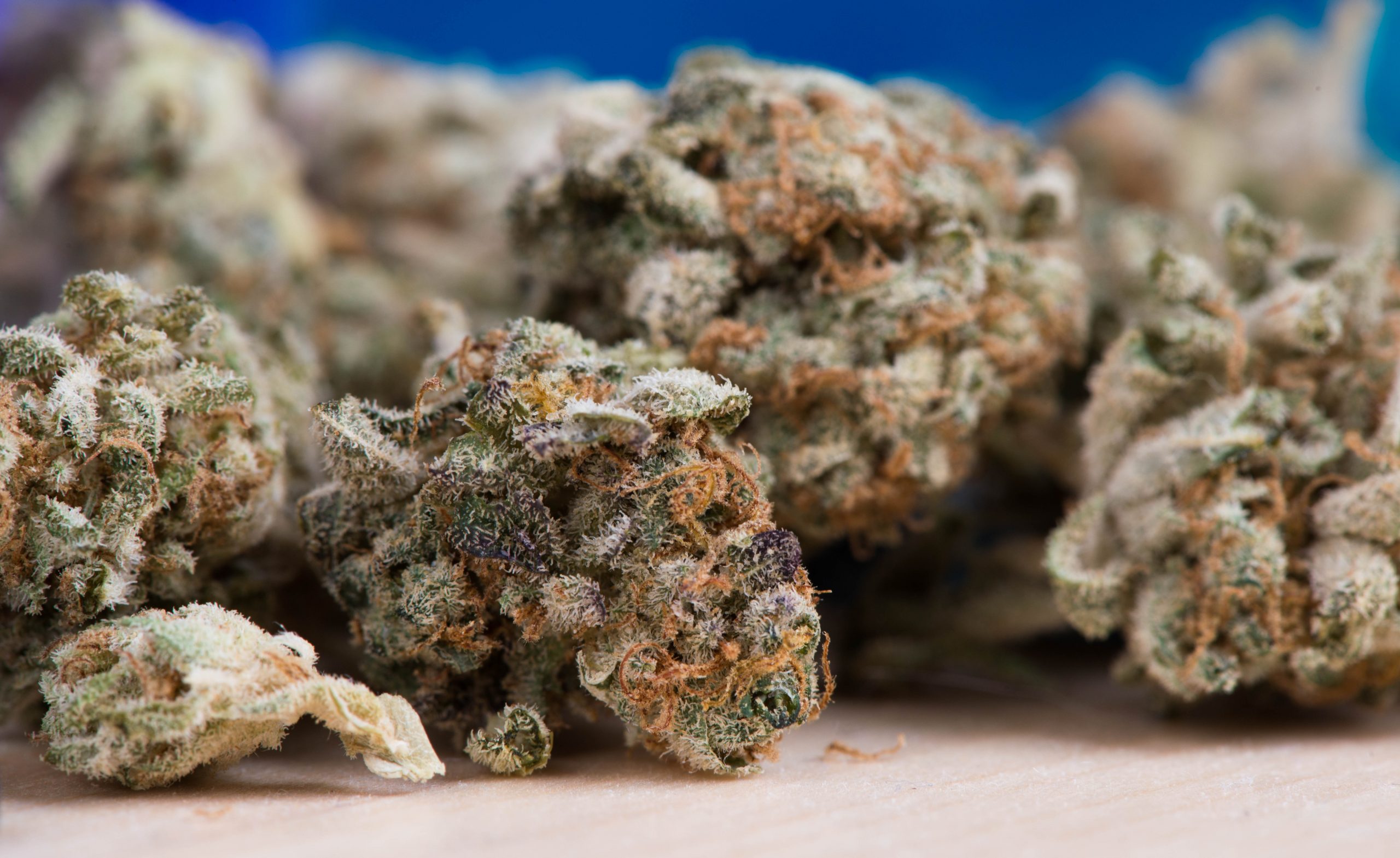 BENEFITS OF BUBBA KUSH STRAIN I THOUGHT YOU SHOULD KNOW