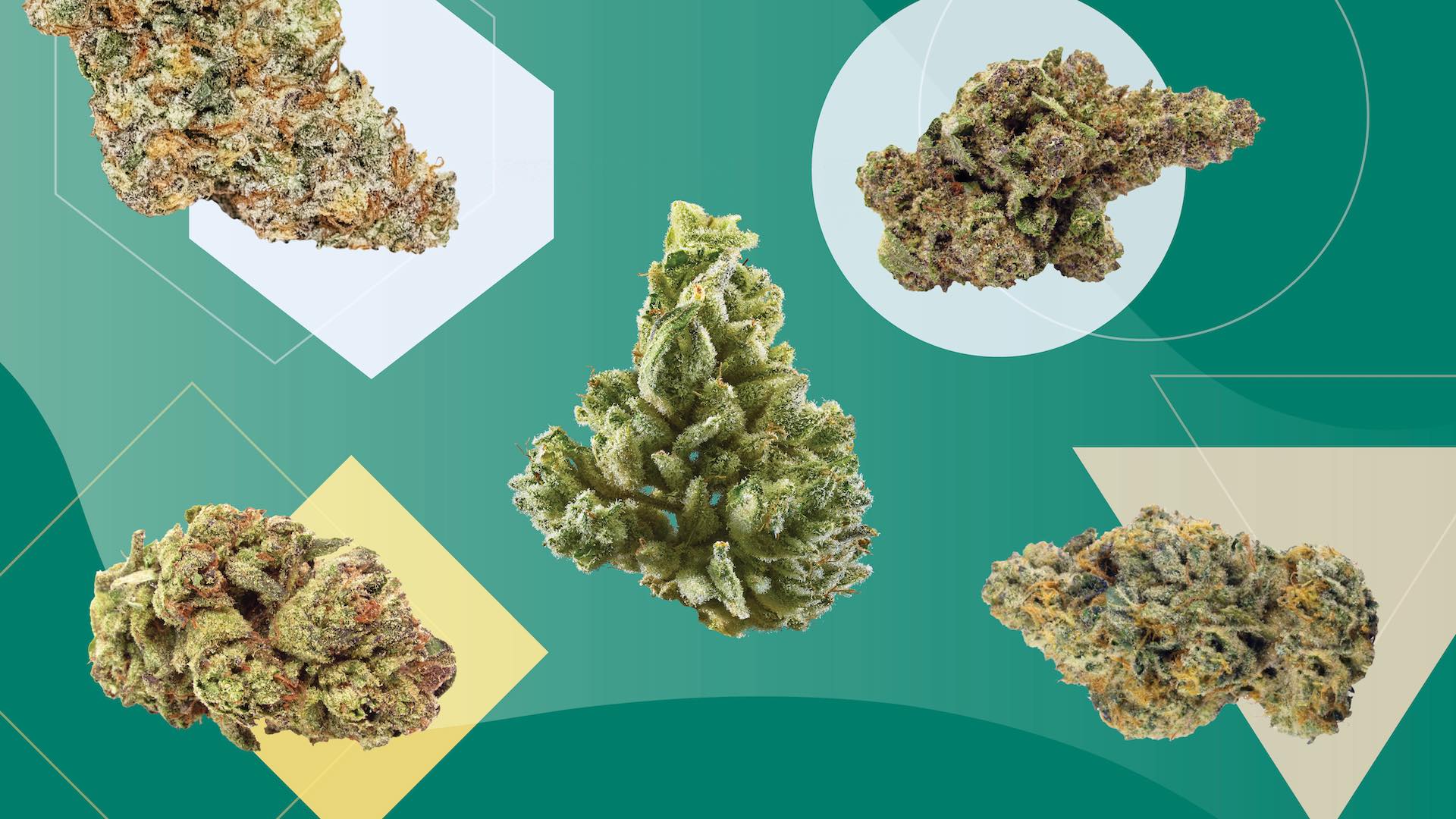 NAVIGATING THE LEGALITIES A COMPREHENSIVE GUIDE TO MAIL ORDER MARIJUANA IN CANADA 